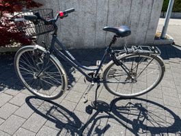 AARIOS Damenvelo - Citybike