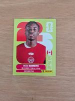 Panini Fifa CAN 8