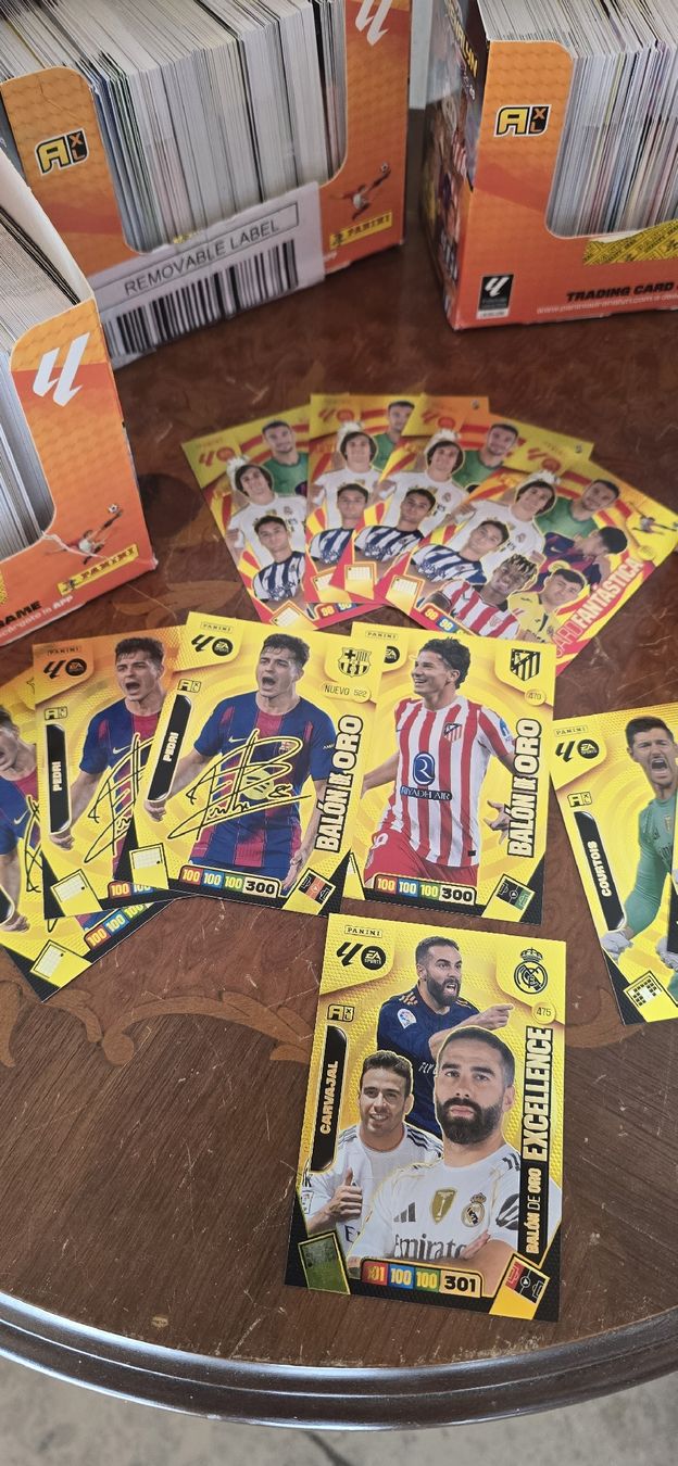 Panini Carte collezionabili: laliga panini – Usato da Safnern venduto da Brionne 1
