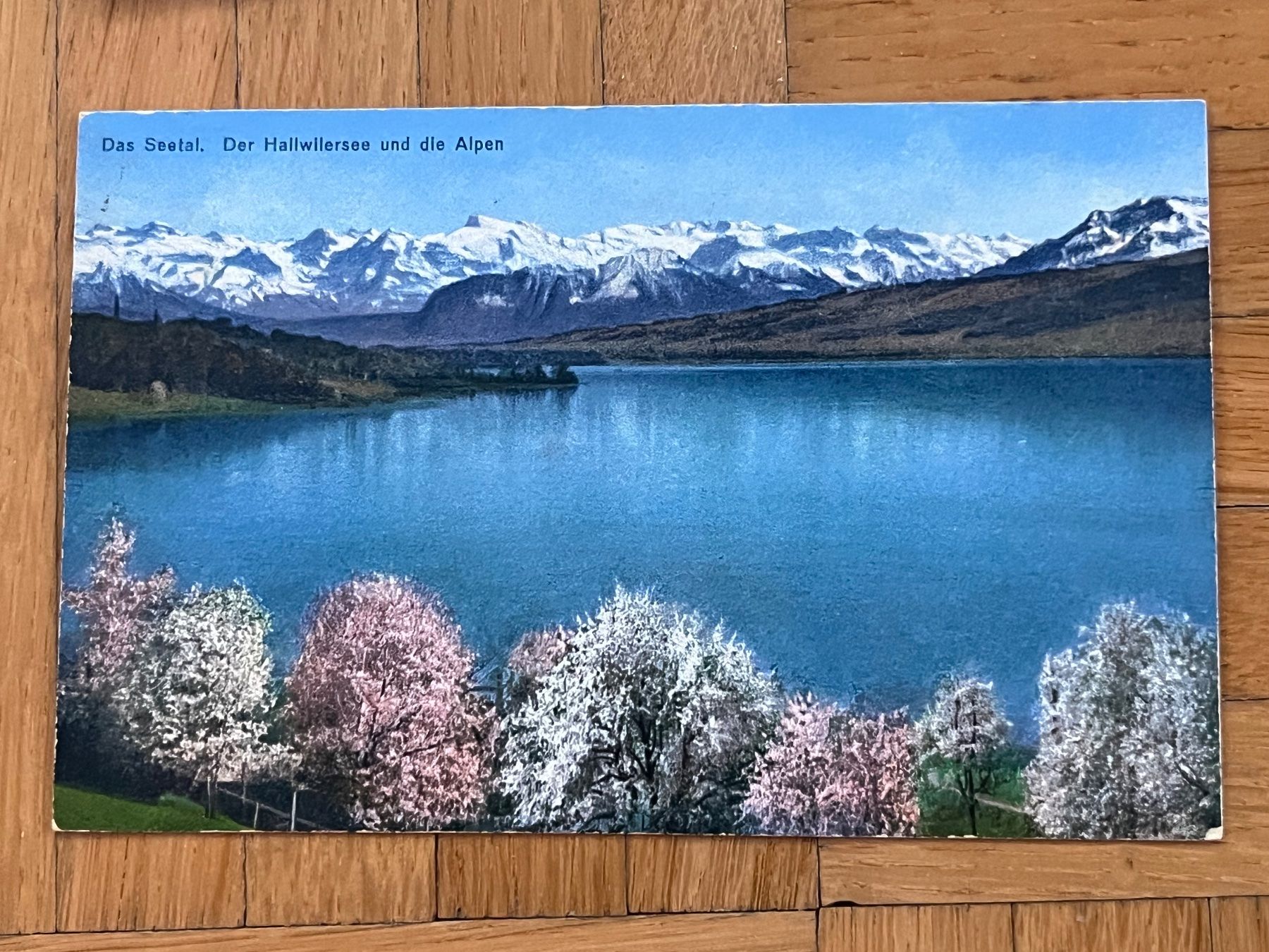 Cartoline postali: Alte Ansicht Hallwilersee – Usato da Romanshorn venduto da luxcollect