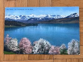 Alte Ansicht Hallwilersee