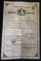 Heimatschein     Joh. J. Glättli    Bonstetten   1901