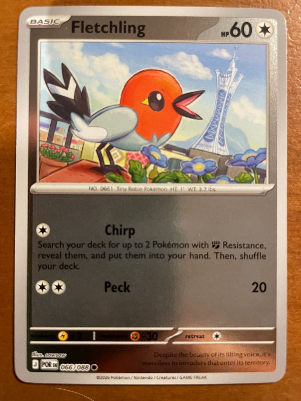 Pokémon Carte collezionabili: Pokemon Fletchling Reverse (Versand gratis) – Nuovo (secondo la descrizione) da Chur venduto da Angerson