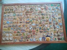 Grosse Pin-Sammlung auf Korkwand (40x60 cm) – Viele Motive &