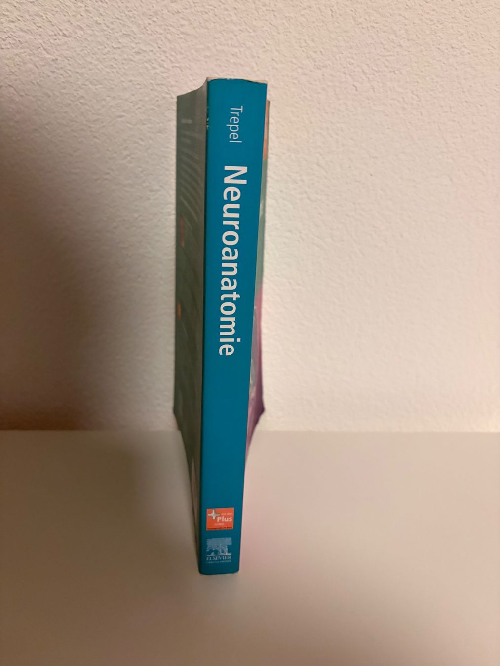 Bücher: Neuroanatomie, 5. Auflage – Gebraucht aus Liebefeld von lau_dfv9 1