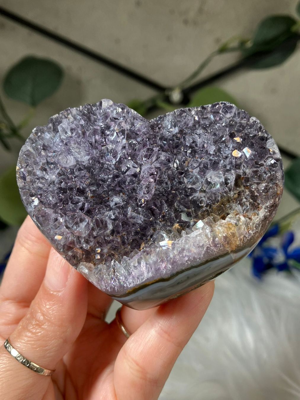Pietre preziose: Amethyst – Nuovo (secondo la descrizione) da Neuheim venduto da m.hald