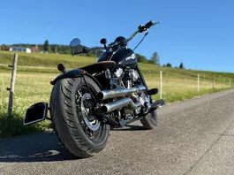 HARLEY-DAVIDSON Chopper FLSTSB Cross Bones