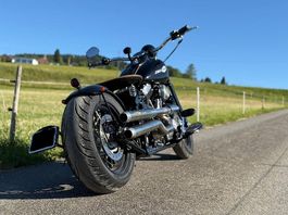 HARLEY-DAVIDSON FLSTSB Cross Bones
