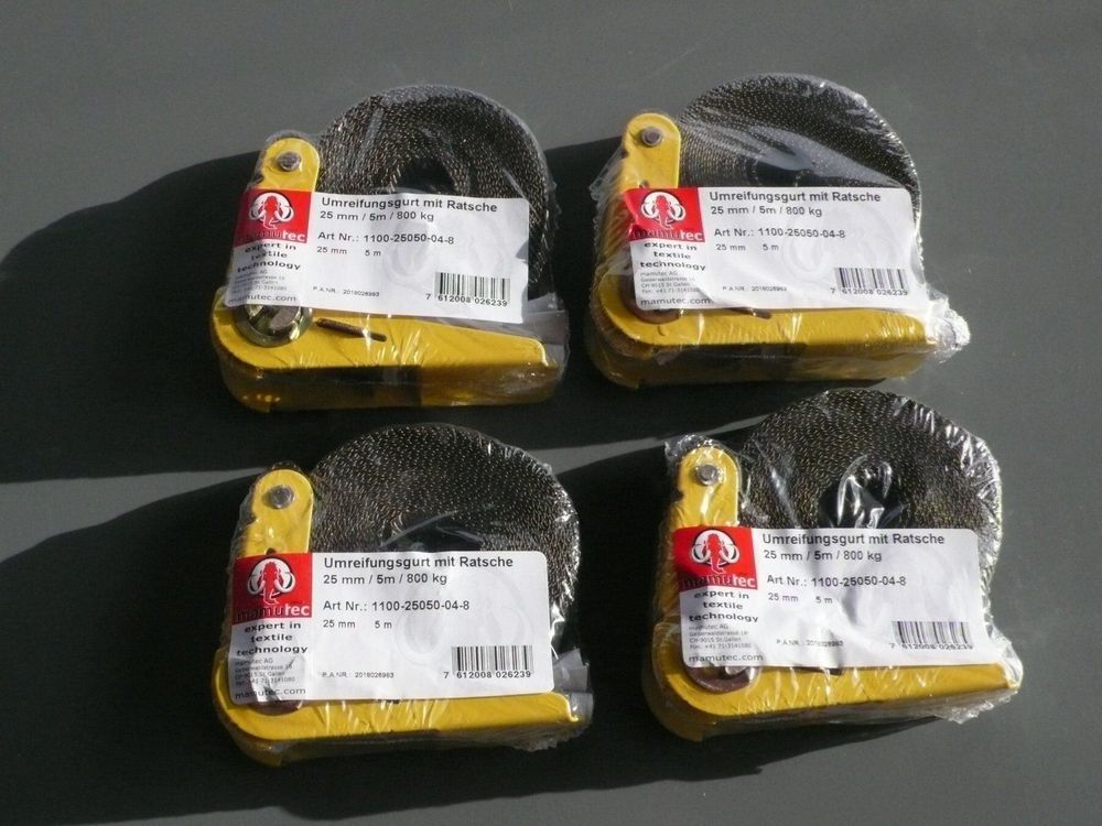 5 Spanngurte Mit Ratsche 25mmx3m - Zurrgurte Bis 900kg Für Transport