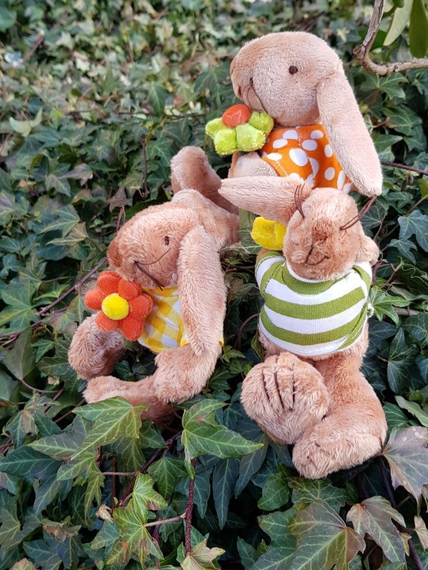 Tutte le decorazioni: FRÜHLINGS - DEKO - 3 Plüschhasen – Usato da Nottwil venduto da echtMOMO 2
