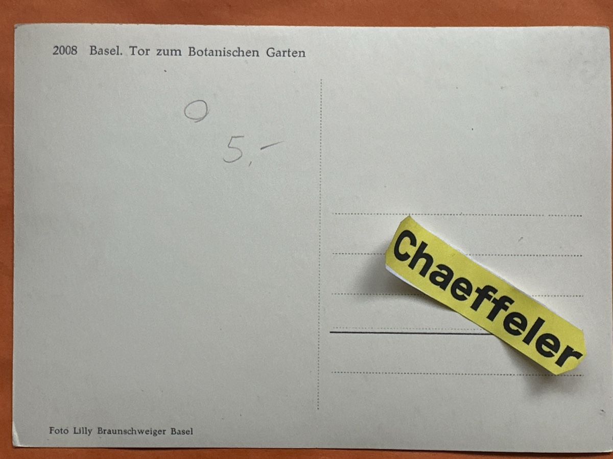 Ansichtskarten: Basler Ansichtskarte, Botanischer Garten im Winter – Gebraucht aus Zürich von Chaeffeler 1