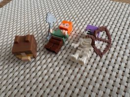 Lego Minifiguren Minecraft