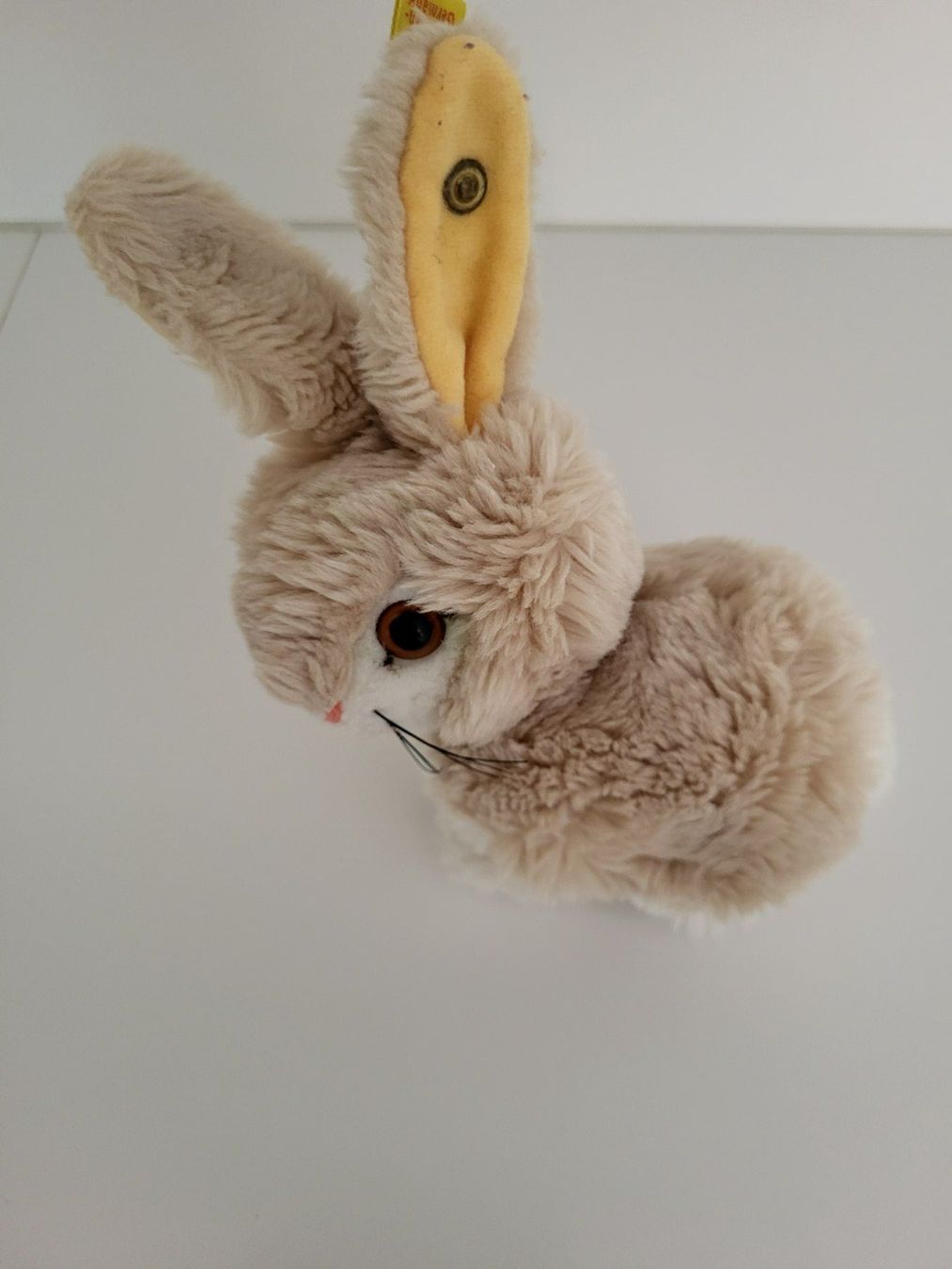 Steiff Giocattoli: Steiff Hase Original Knopf – Usato da Grüsch venduto da Marianna05