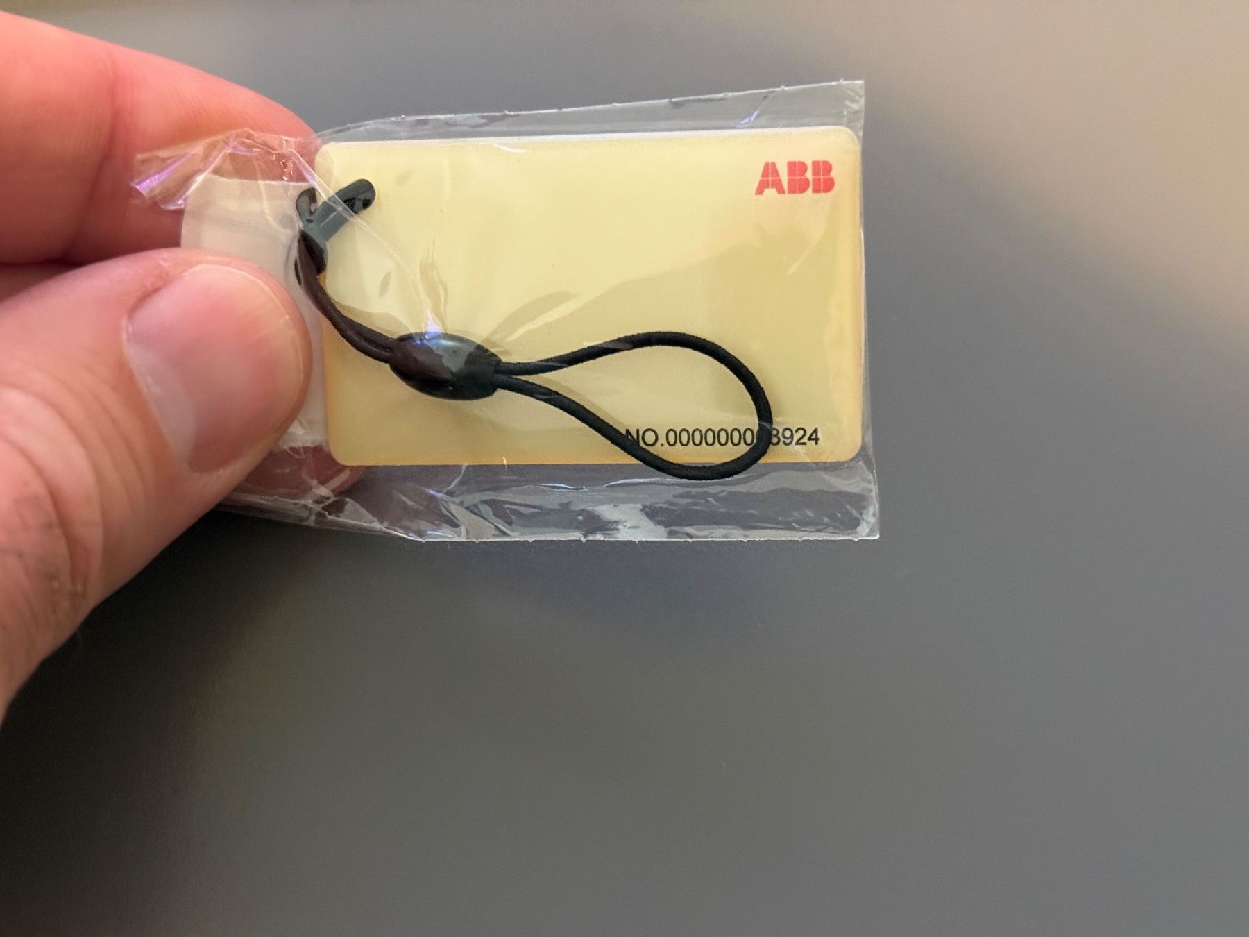 ABB Caricabatterie: ABB Ladestation Terra AC 11 kW mit Typ 2 Kabel – Usato da Aarwangen venduto da yariszh 4