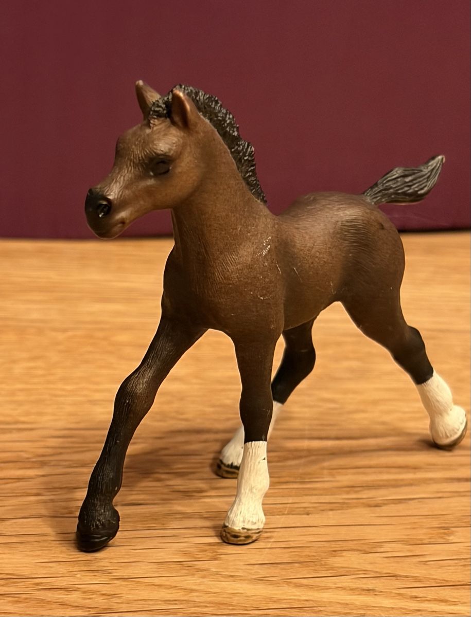 Schleich Spielzeuge: Schleich - Set – Gebraucht aus Blumenstein von rumba9 2