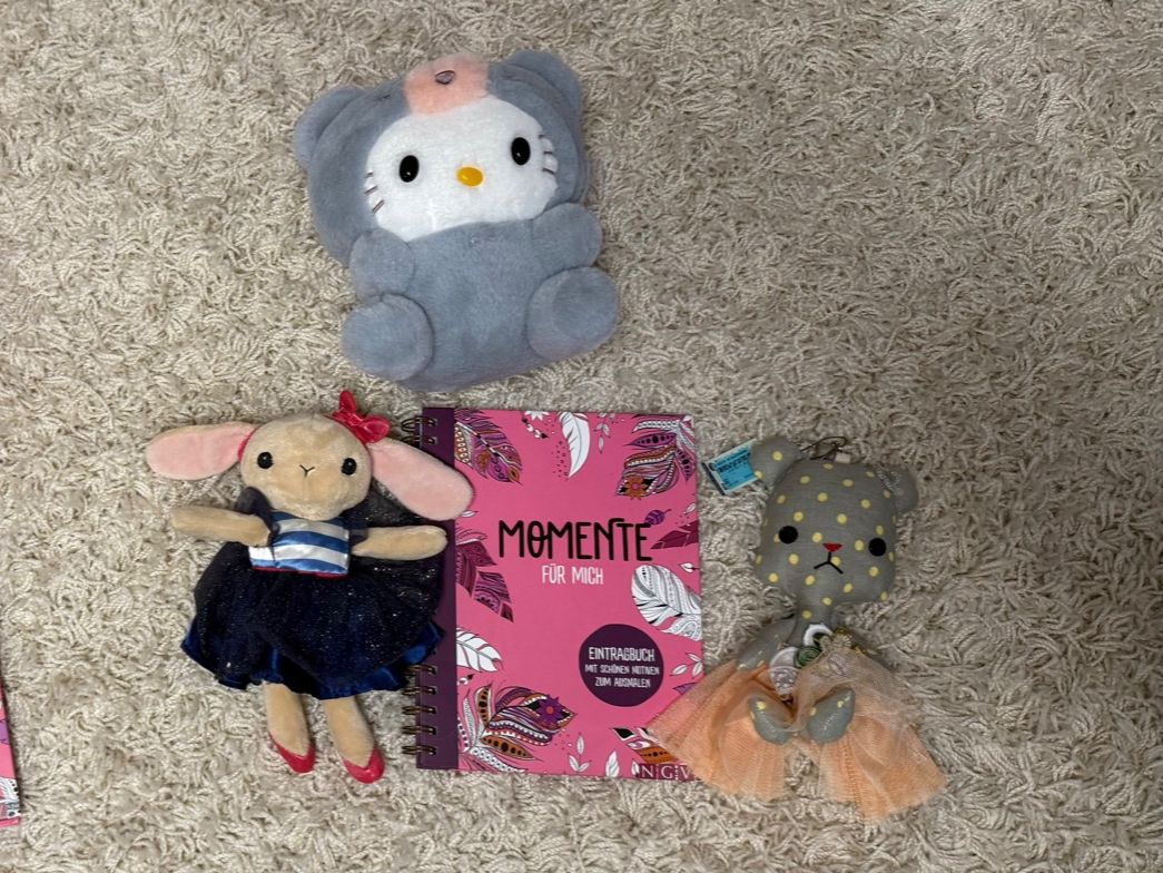 Giocattoli: Katze Hase hello kitty sketchbook – Usato da Trimbach venduto da ORTHOPORT