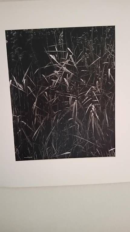 Foto & Immagini: Tirage original de Denis Brihat – Usato da Mont-Pèlerin venduto da gscherle