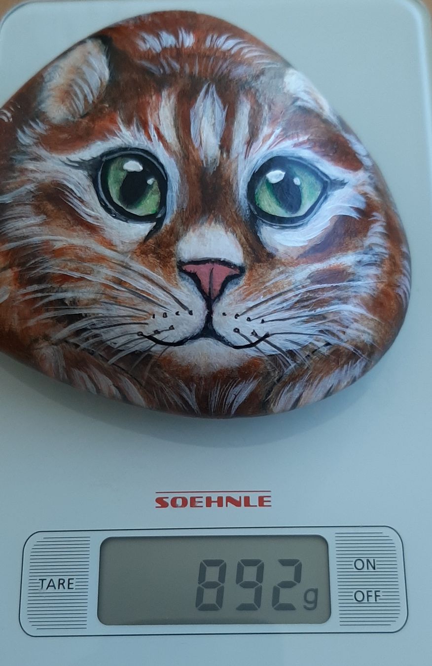 Mineralien & Heilsteine: Stein Katze – Neu (gemäss Beschreibung) aus Affoltern am Albis von Fossil60 2
