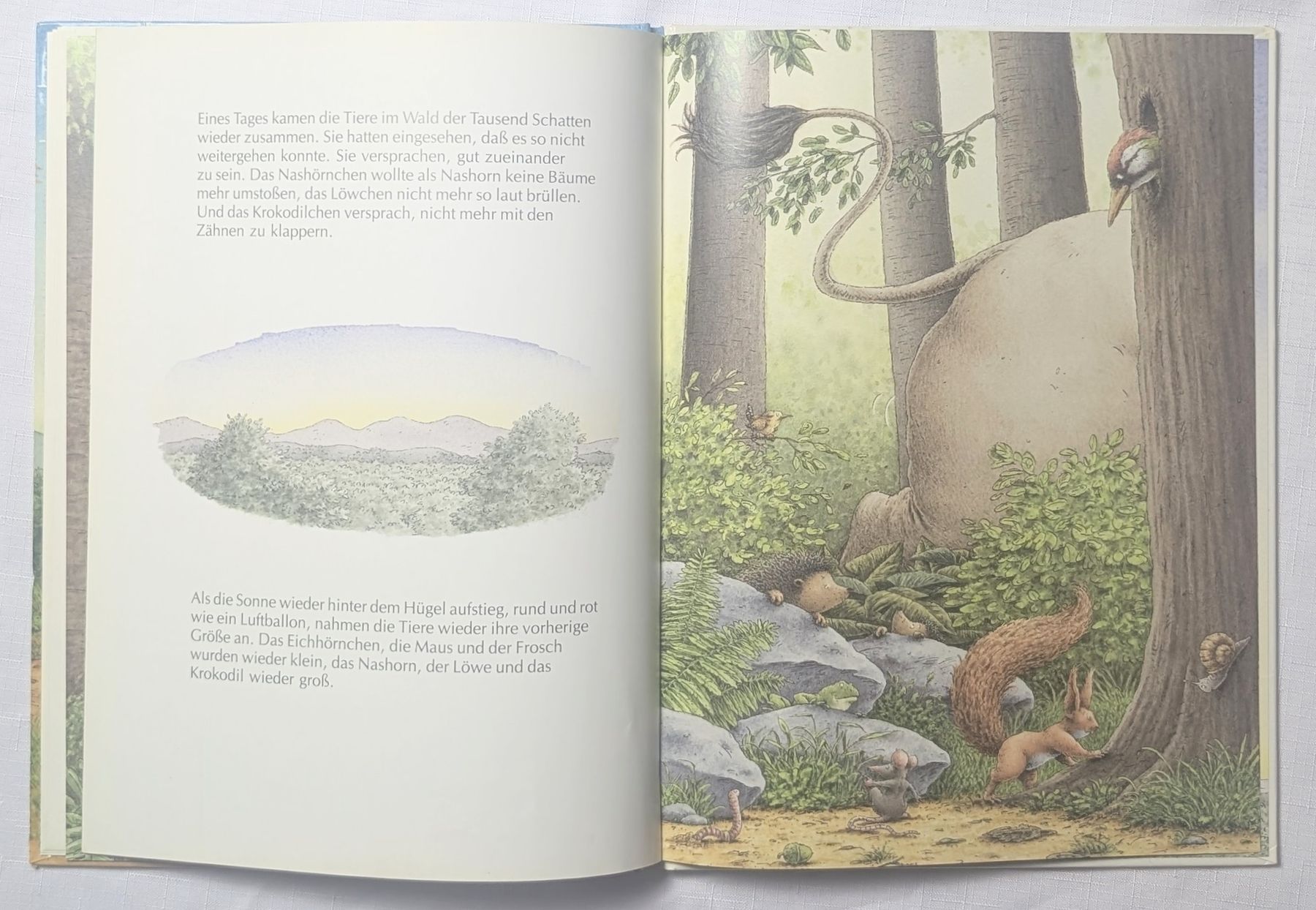Libri: Das Eichhorn und das Nashörnchen Mischa Damjan Hans de Beer – Nuovo (secondo la descrizione) da Wängi venduto da ABIZONE-86 4