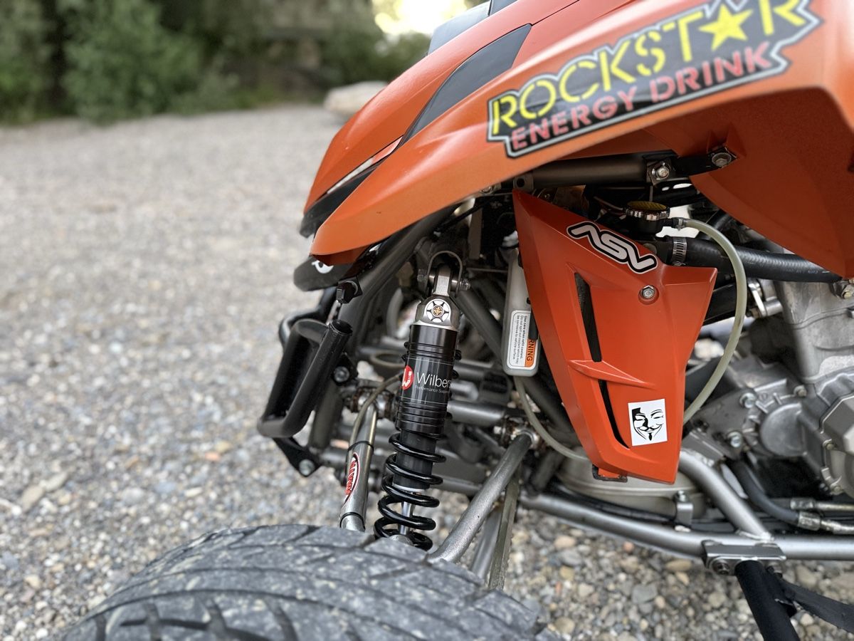 Dinli Quads: Dinli DL DMX 450 – D'occasion à Bischofszell par Ehelena 3
