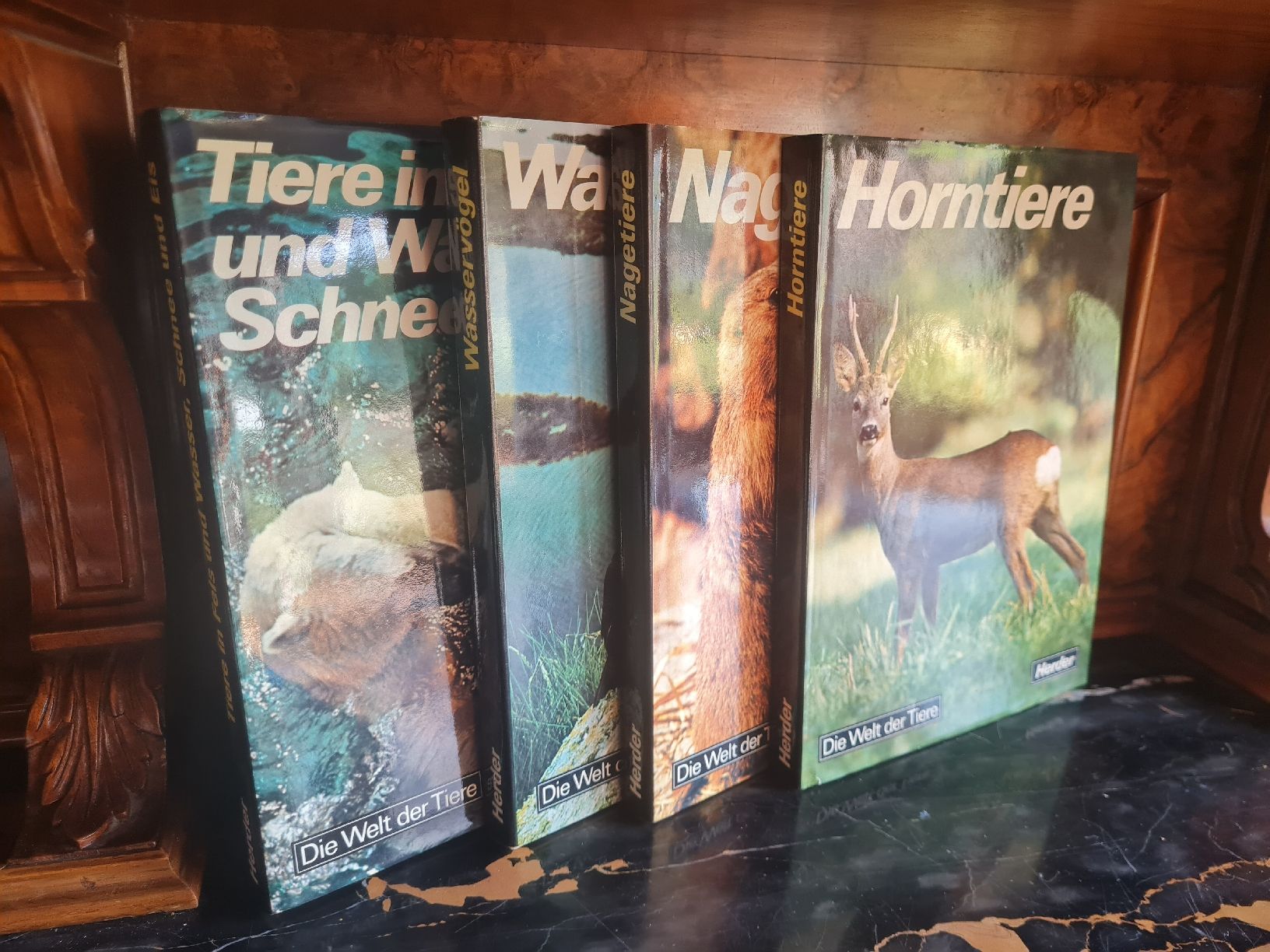 Libri: Die Welt der Tiere 4 Bände Herder Tierbücher – Usato da Bäretswil venduto da Rio.