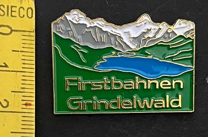 Swiss Plaketten & Abzeichen: Firstbahnen Grindelwald, Bachalpsee, Pin – Gebraucht aus Ostermundigen von DaxKarten-75