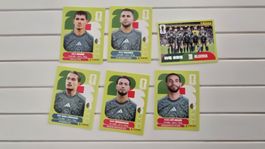 Panini FIFA World Cup Stickers Algeria ALG