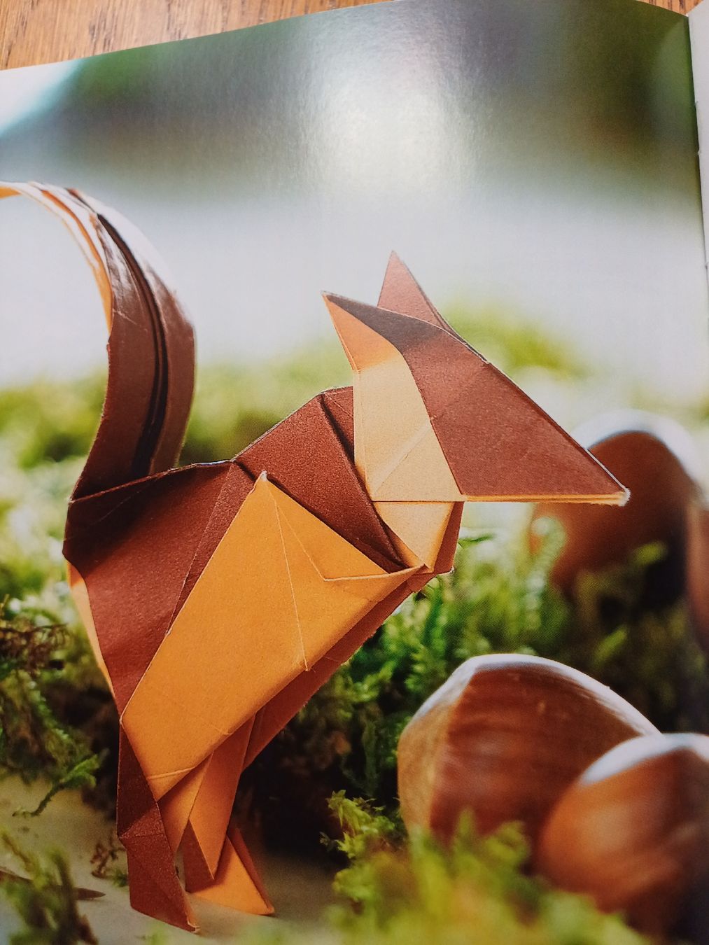 Libri: Faszinierende Origami Tiere – Nuovo (secondo la descrizione) da Gächliwil venduto da lesidees 3
