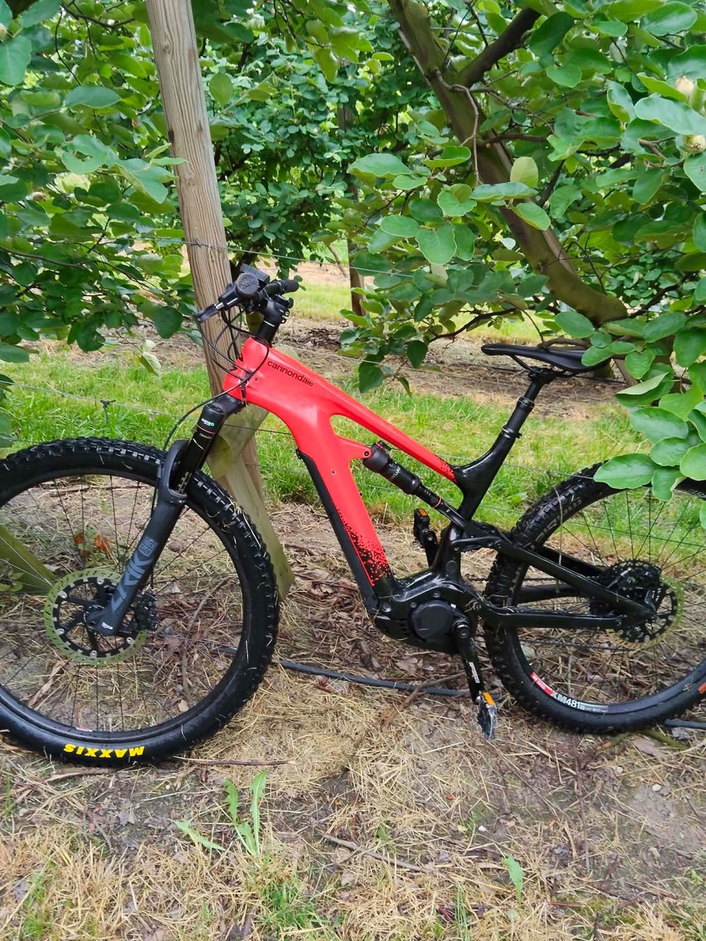 Cannondale Biciclette: Canondale Moterra – Usato da Künten venduto da Rumen74 4