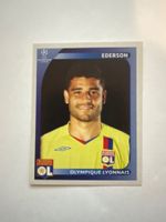 Panini UEFA Champions League 2008-2009 - Nr. 361