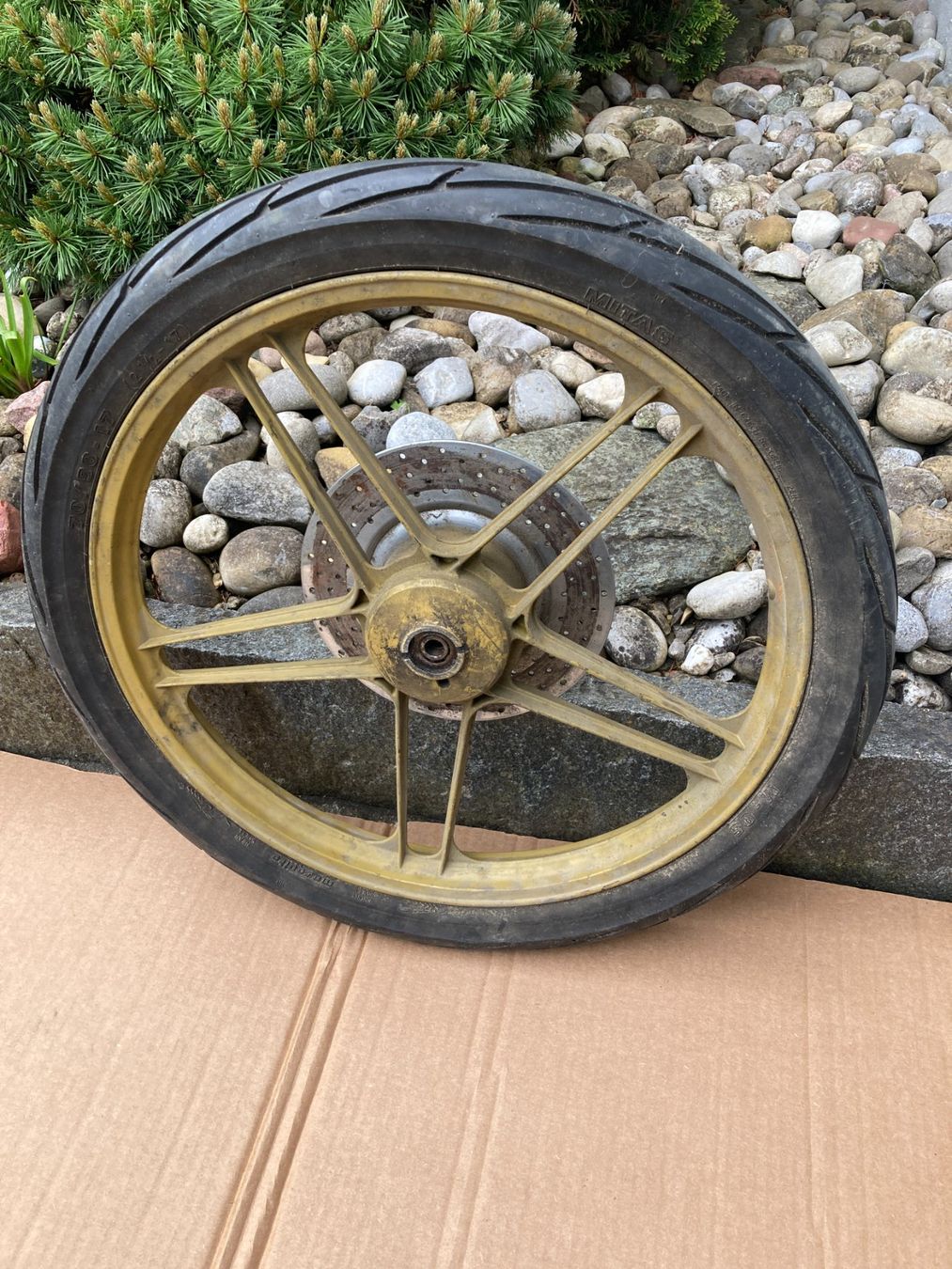 Pneumatici & Ruote complete: Mofa Rad mit – Usato da Wil SG venduto da Pin05