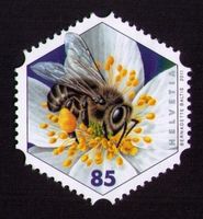 2011_1383_HONIGBIENE_noch frankaturgültig ! **