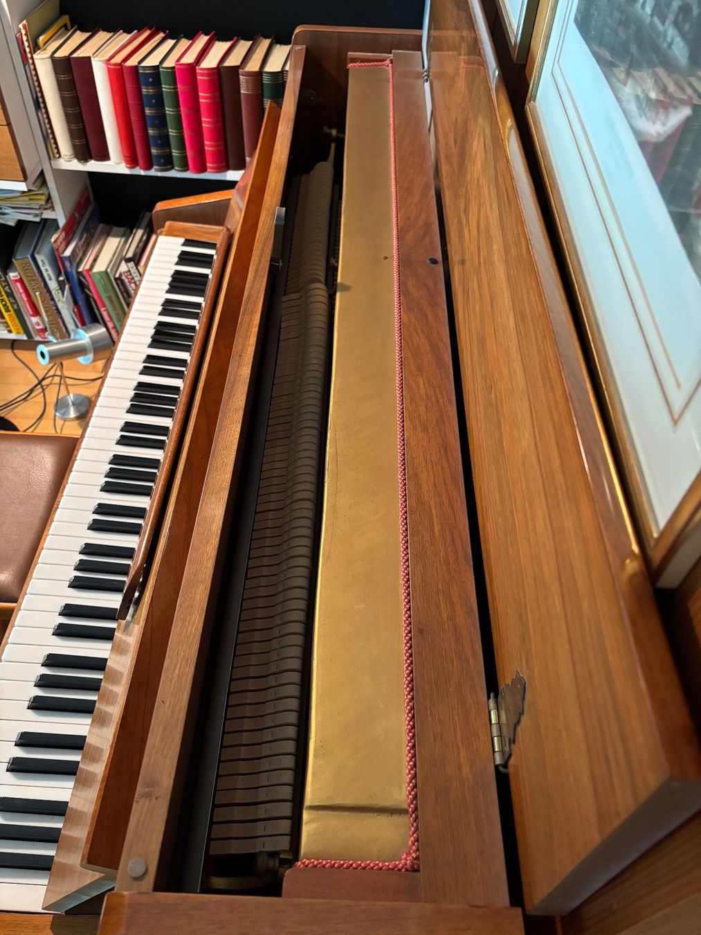 Strumenti musicali: Klavier Knight London – Usato da Werdenberg venduto da Mchjavo 2