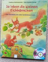 So leben die kleinen Eichhörnchen 🐿️