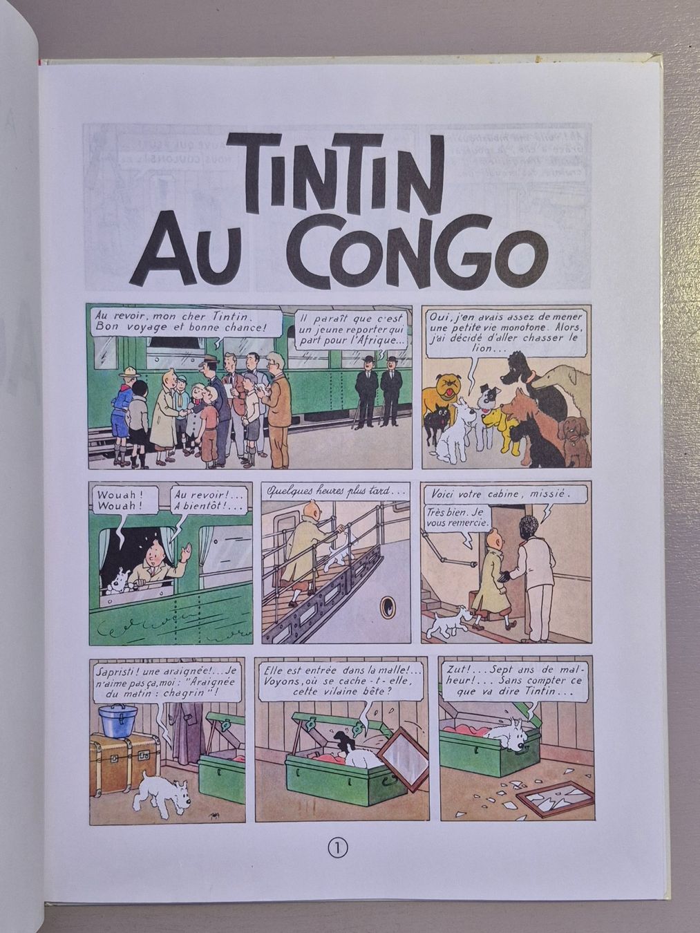Comics: Tintin au Congo – Gebraucht aus Grand-Lancy von loi_599y 2