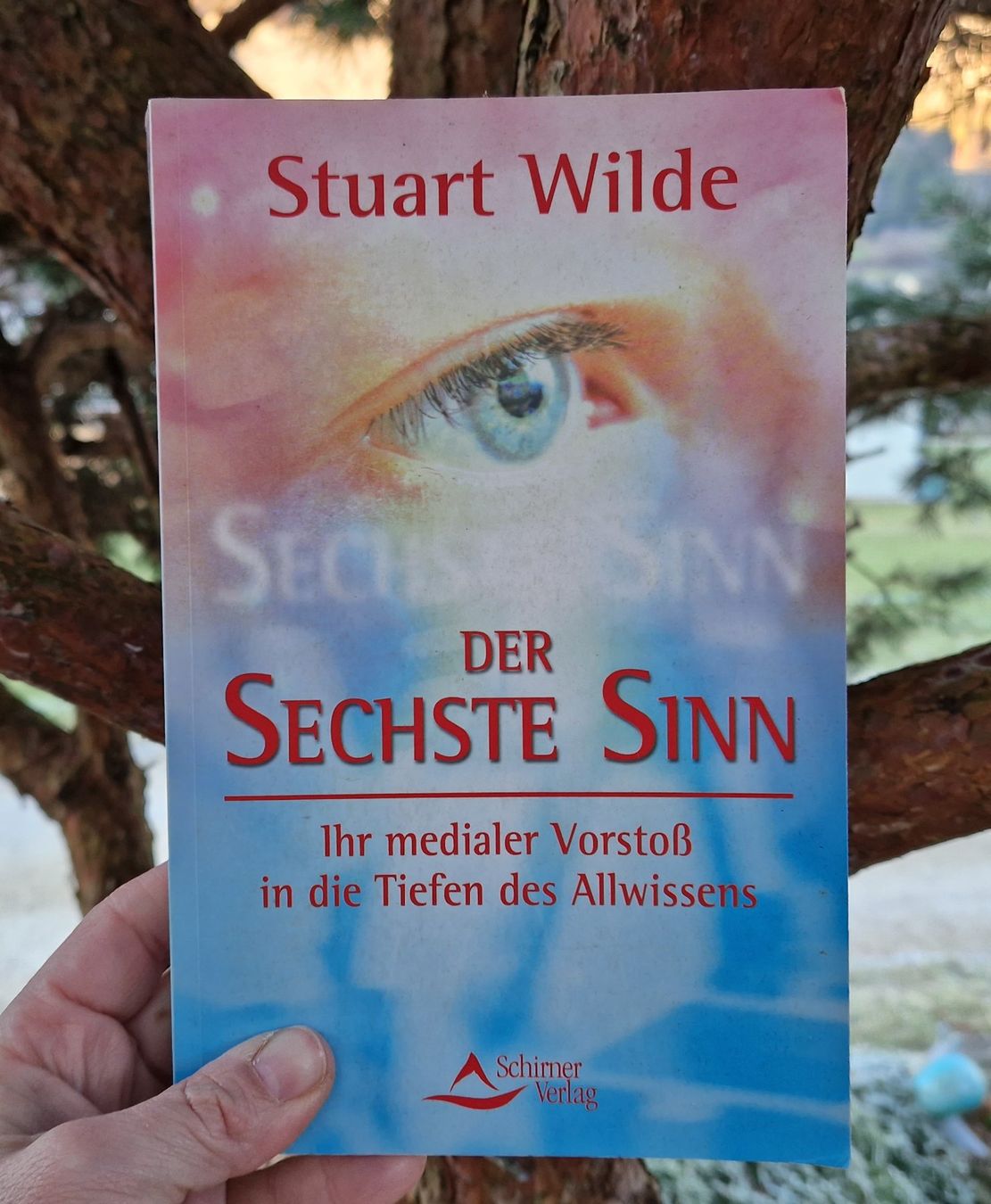 Bücher: Buch - Der sechste Sinn - Stuart Wilde – Gebraucht aus Siblingen von