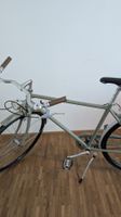 City Fahrrad von Trelago 48cm Rahmengrösse