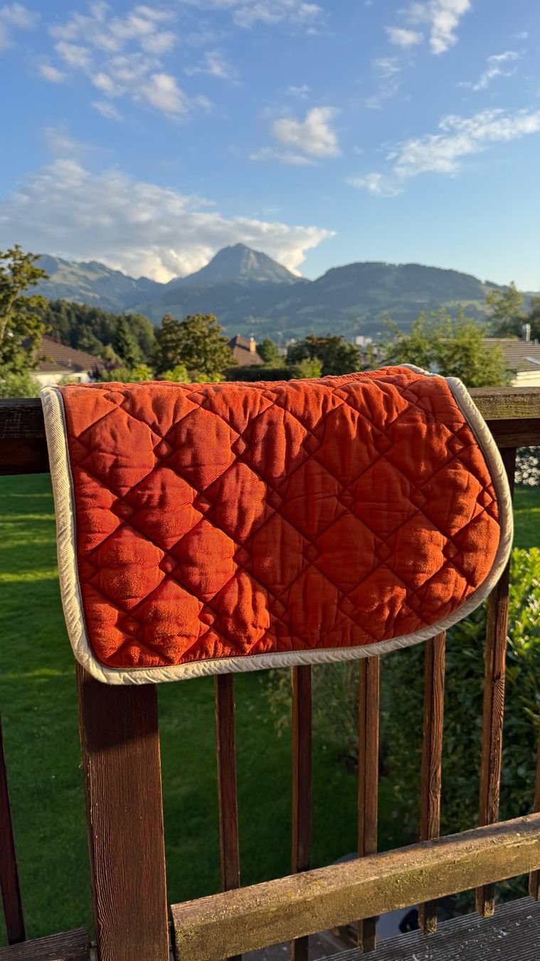 Coperte: Tapis de selle cheval – Usato da Bulle venduto da Math2601 1
