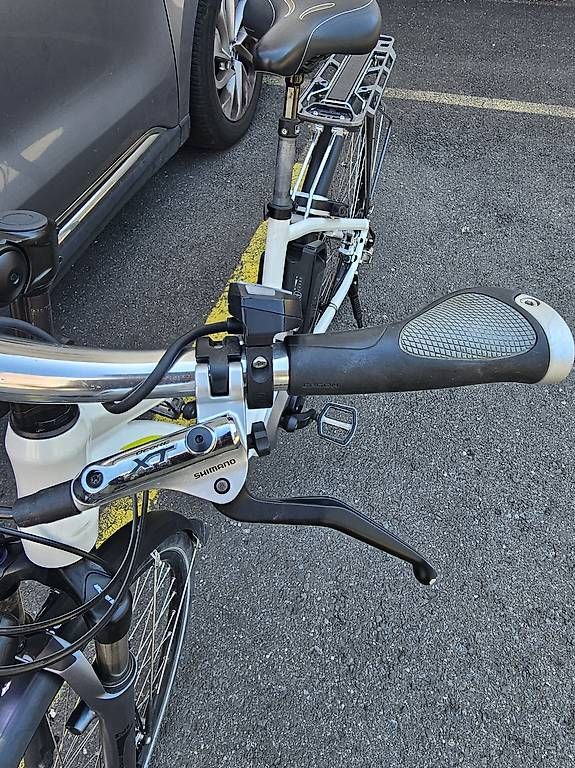 Biciclette: E BIKE  FLYER Next Generation 25 km/h – Usato da Zug venduto da abv_9t5d 2