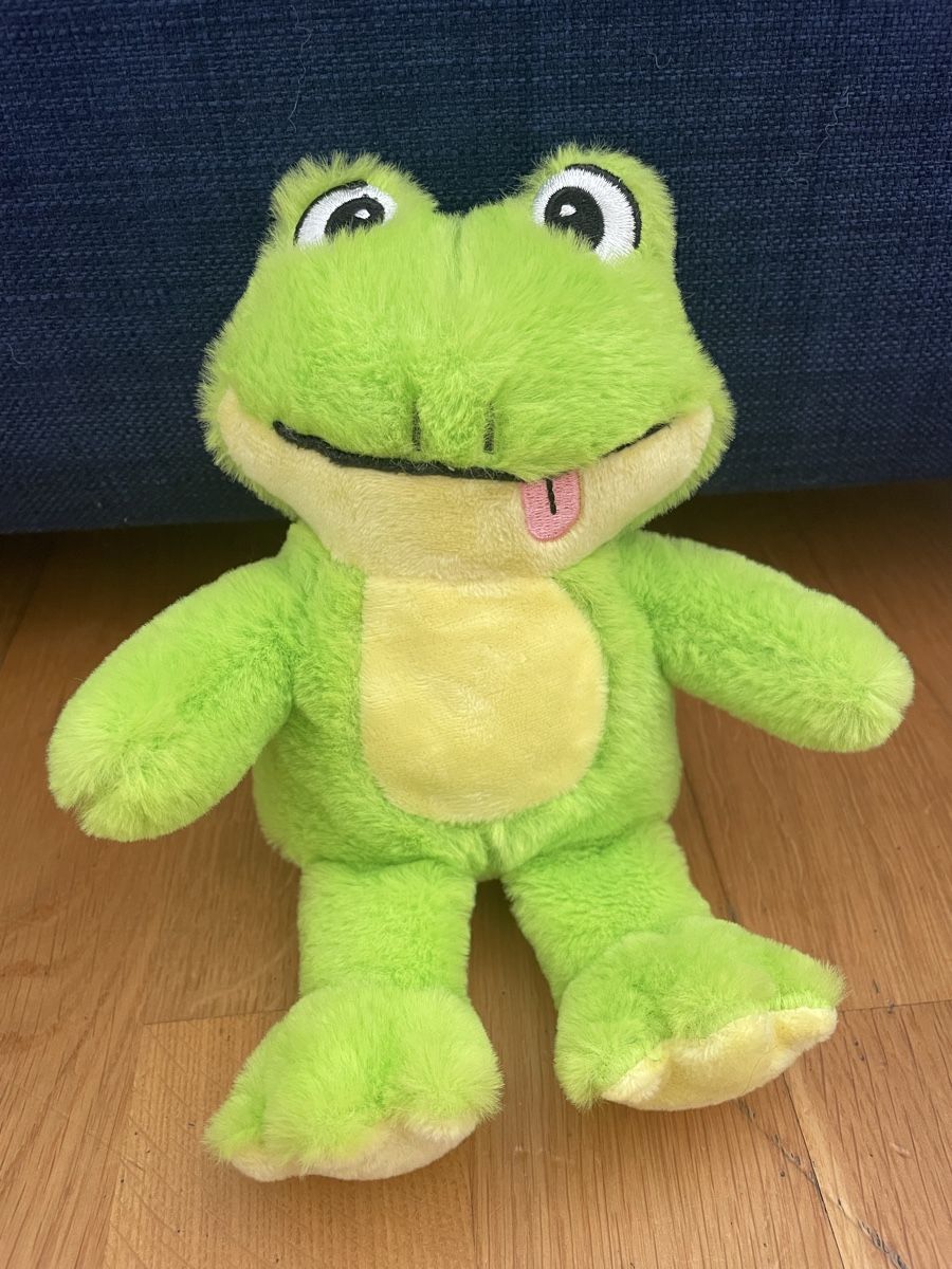 Spielzeuge: Plush frog – Gebraucht aus Zürich von sezamki