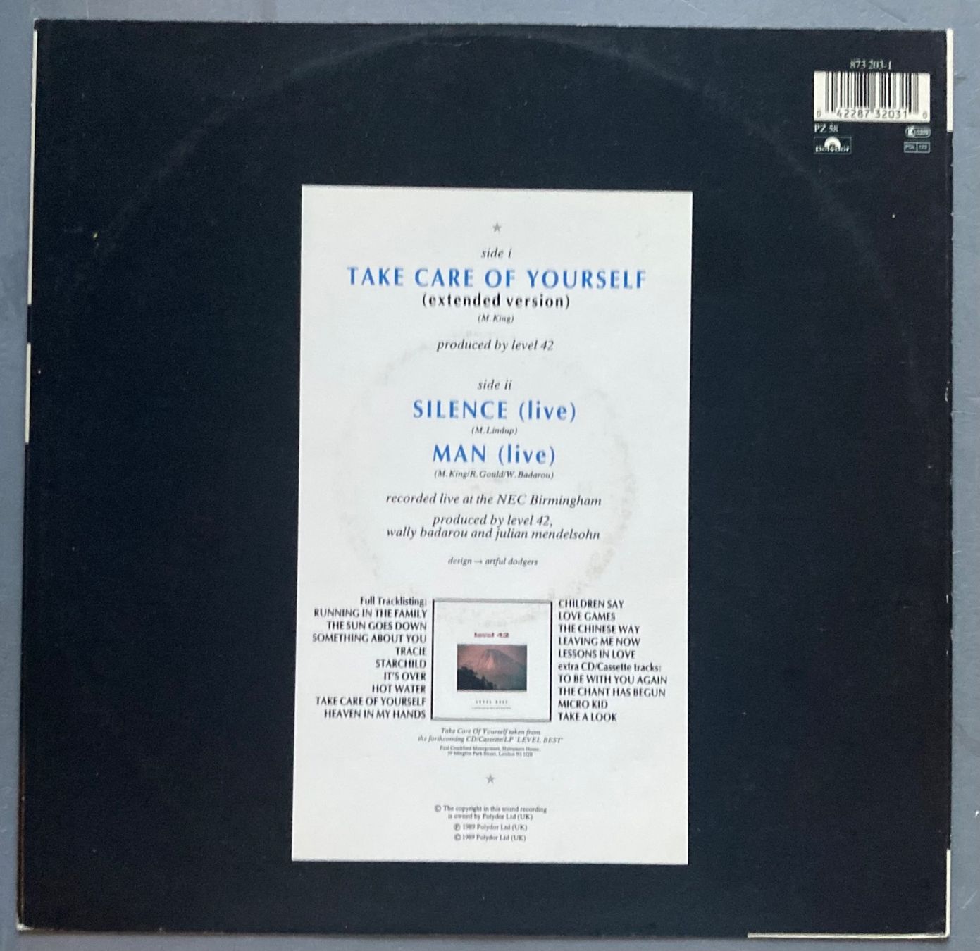 Dischi in vinile: LEVEL 42 - TAKE CARE OF YOURSELF – Usato da Poliez-Pittet venduto da Newtown-Records 1