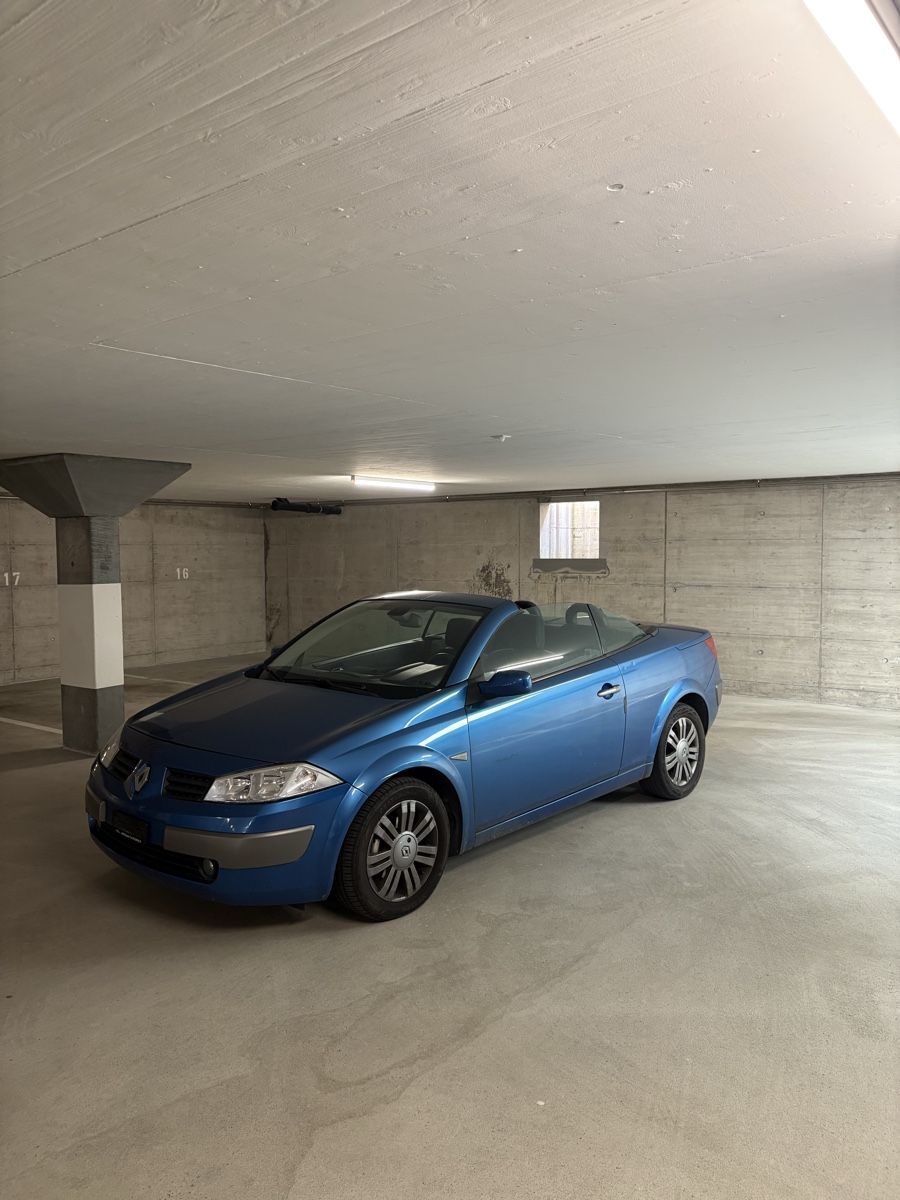Renault Automobili: Renault Megane 2.0 16V – Usato da Giebenach venduto da jas_s7dt 1