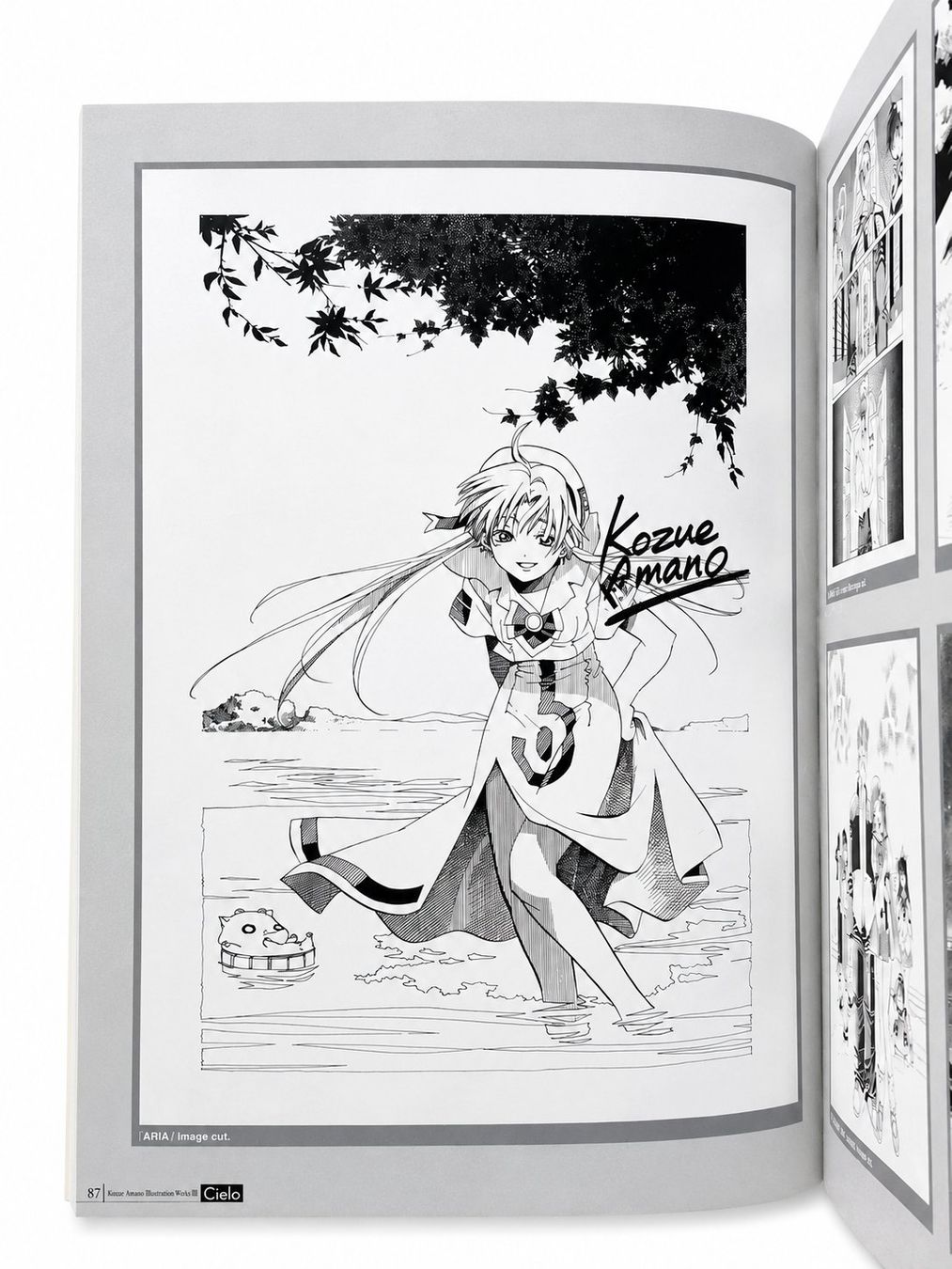 Fumetti: Cielo / Kozue Amano Illustration Works III – Usato da Rütihof venduto da AkibaVault 8