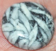 Cabochon L-1411 – Runder Pinolith – 21x21mm