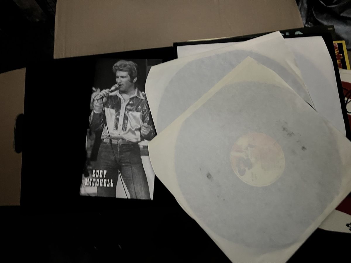 Dischi in vinile: Collection vinyles Eddy Mitchell 33t – Usato da Chambésy venduto da ggr_yg5d 5