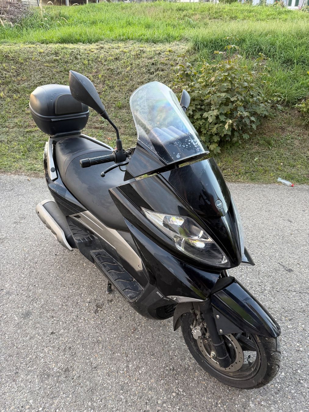 Tell Altro: Tell Silver Blade 250 ccm Roller – Usato da ST.GALLEN venduto da Bimi770 1