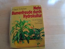 Hydrokultur Pflanzen-Ratgeber: Blumenfreude für Zimmer!