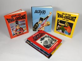 GOTLIB FLUIDE GLACIALE / JUNIOR livre x10