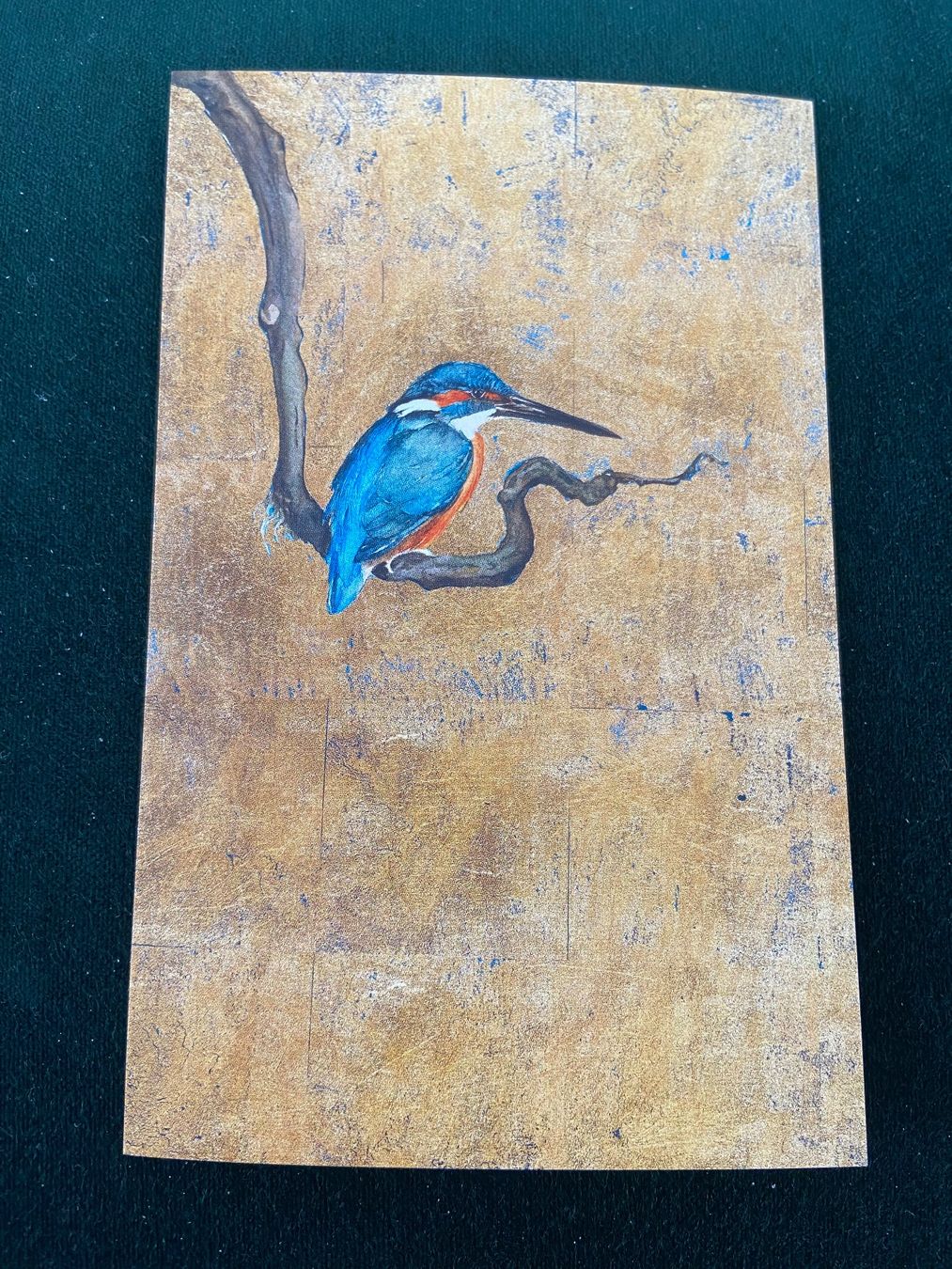 Ansichtskarten: AK ungelaufen Eisvogel Illustration – Neu und originalverpackt aus Luzern von waterfront1
