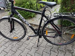 Herren Velo